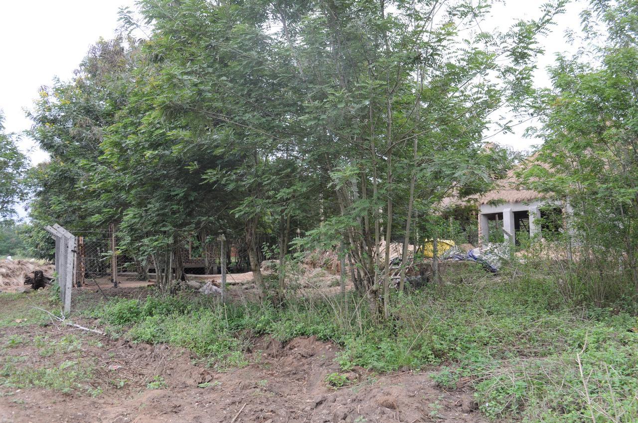 Irungu Forest Safari Lodge Katunguru Exterior foto
