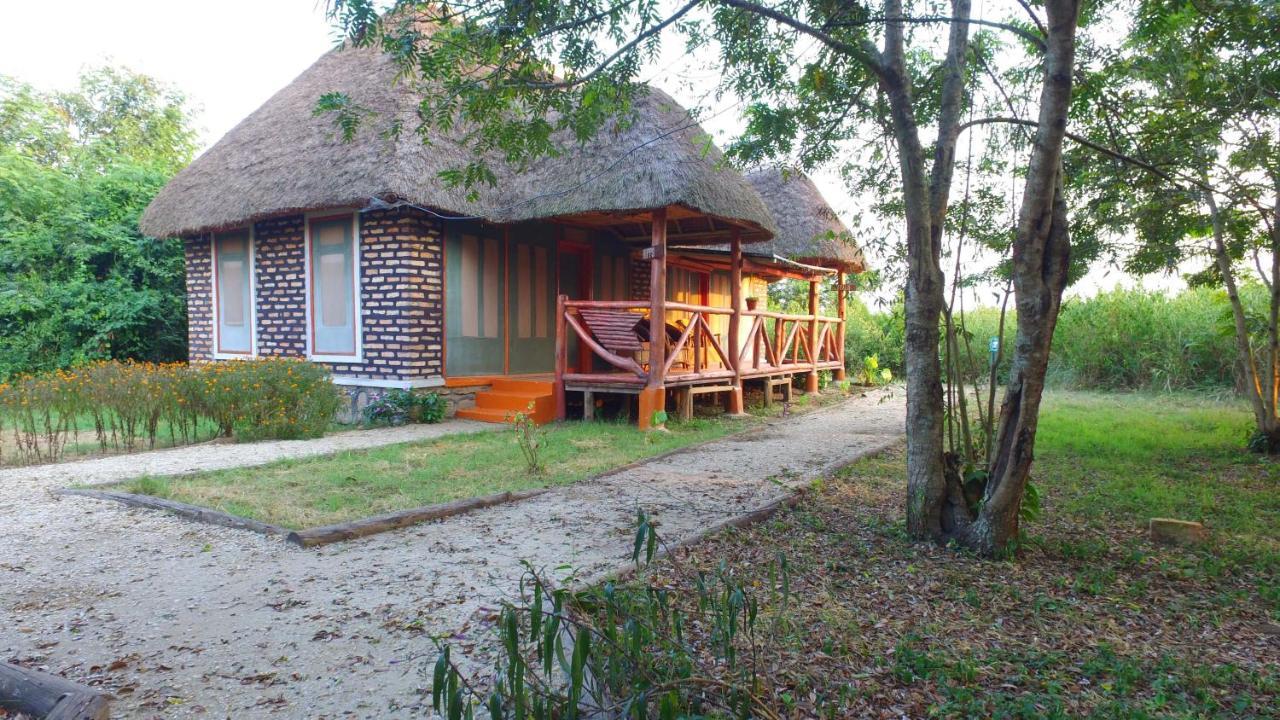 Irungu Forest Safari Lodge Katunguru Exterior foto